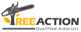 TREEACTION Arborist Service in Auckland New Zealand